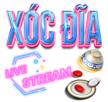 X&oacute;c đĩa vn68